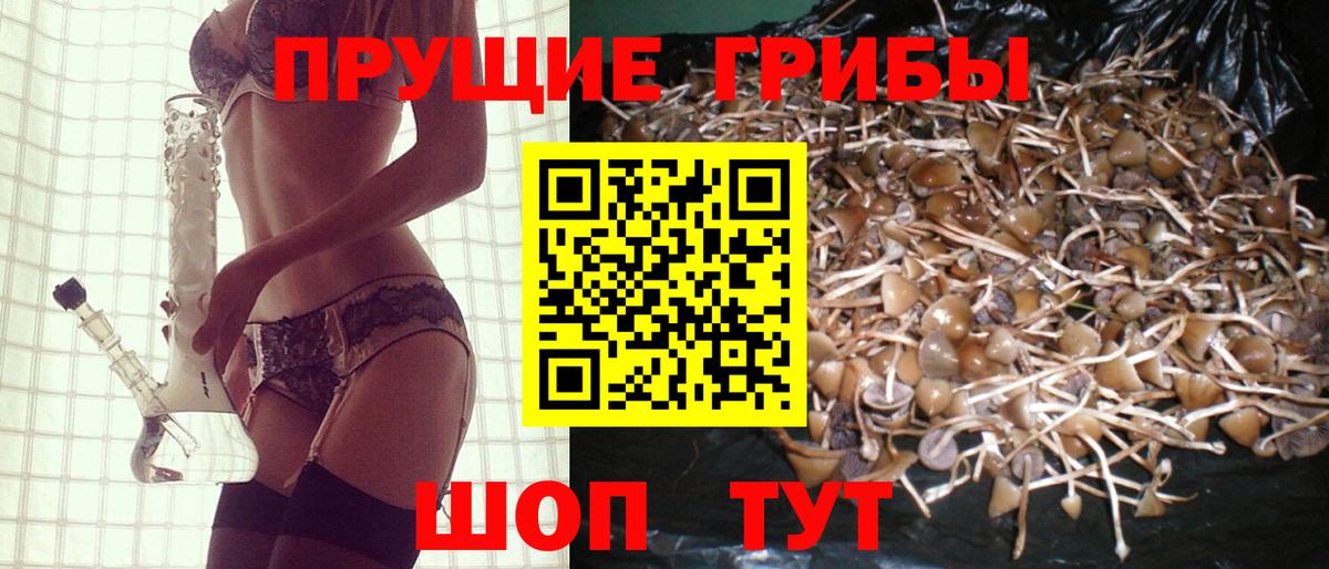 Калининград  закладка  Вход с VPN  Галлюциногенные грибы прущие грибы 